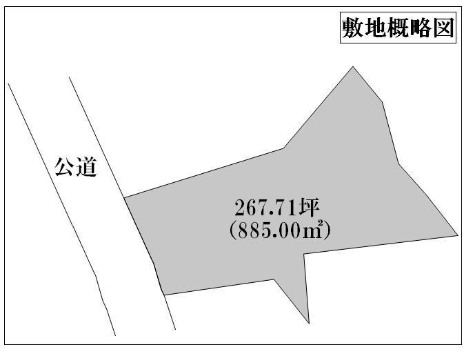 Other. Site schematic