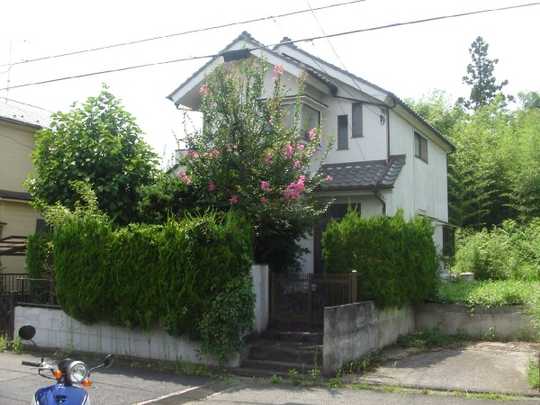 Local land photo. Appearance (1)