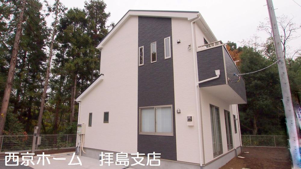 Local appearance photo. 2013 November shooting