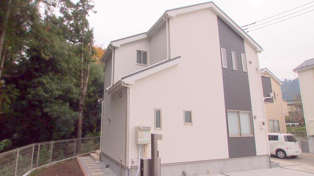 Local appearance photo. 2013 November shooting