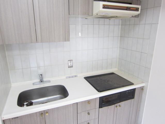 Kitchen. Indoor (12 May 2013) Shooting