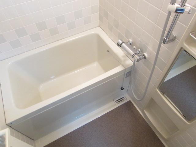 Bathroom. Indoor (12 May 2013) Shooting