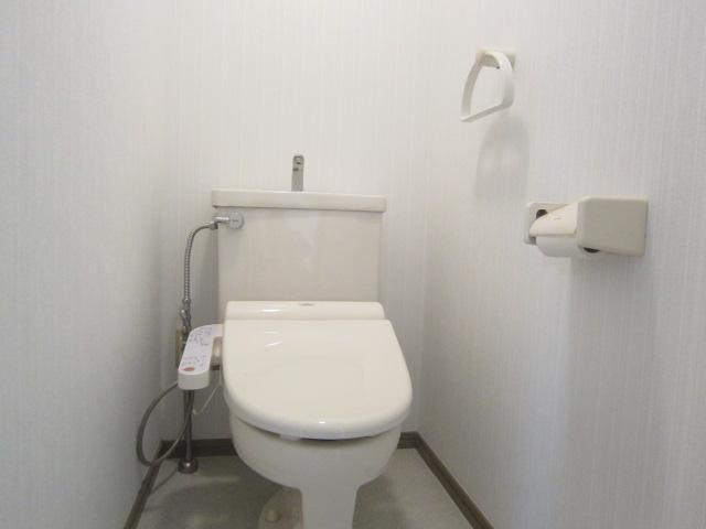 Toilet. Indoor (12 May 2013) Shooting