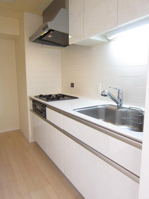 Kitchen. Indoor (10 May 2013) Shooting