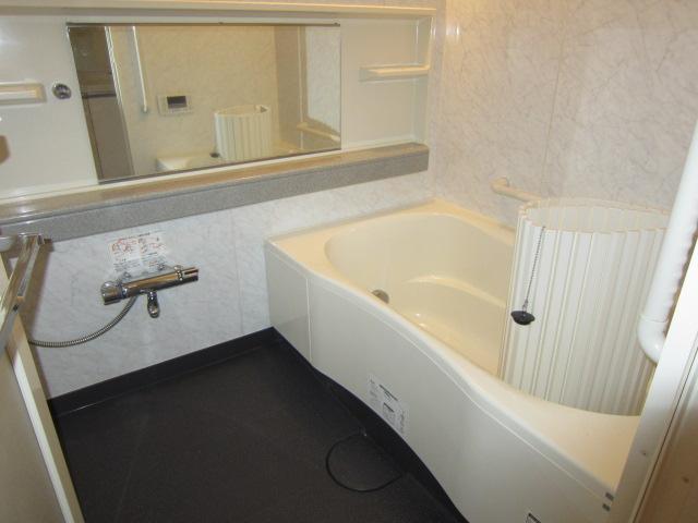 Bathroom. Indoor (10 May 2013) Shooting