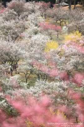 Local land photo. Peripheral is also available tourist destination