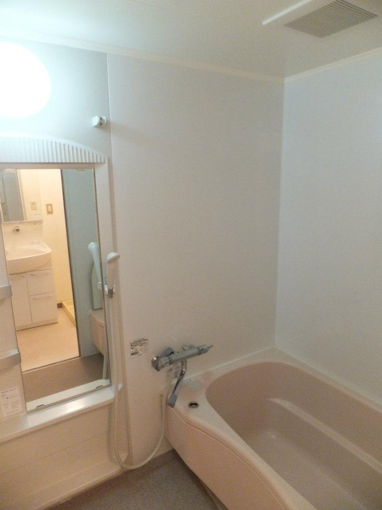 Bathroom. Room (August 2013) Shooting It will be tired of the day to heal Yasuo bath.