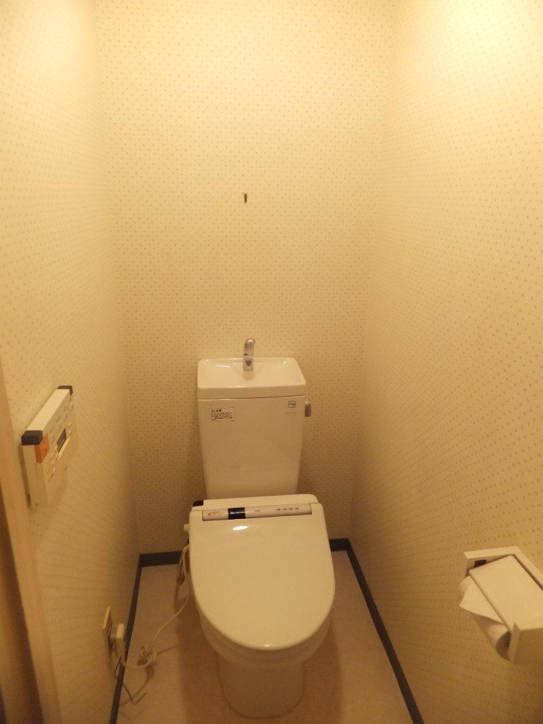 Toilet. Room (August 2013) Shooting