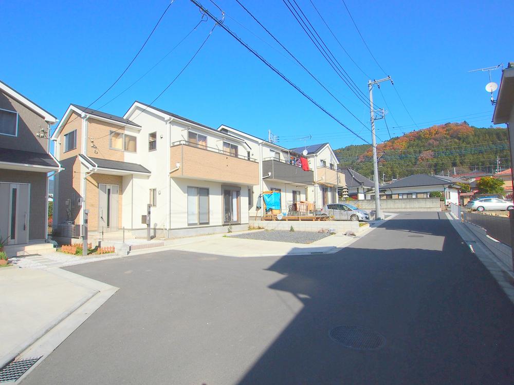 Local appearance photo. December 2013 shooting