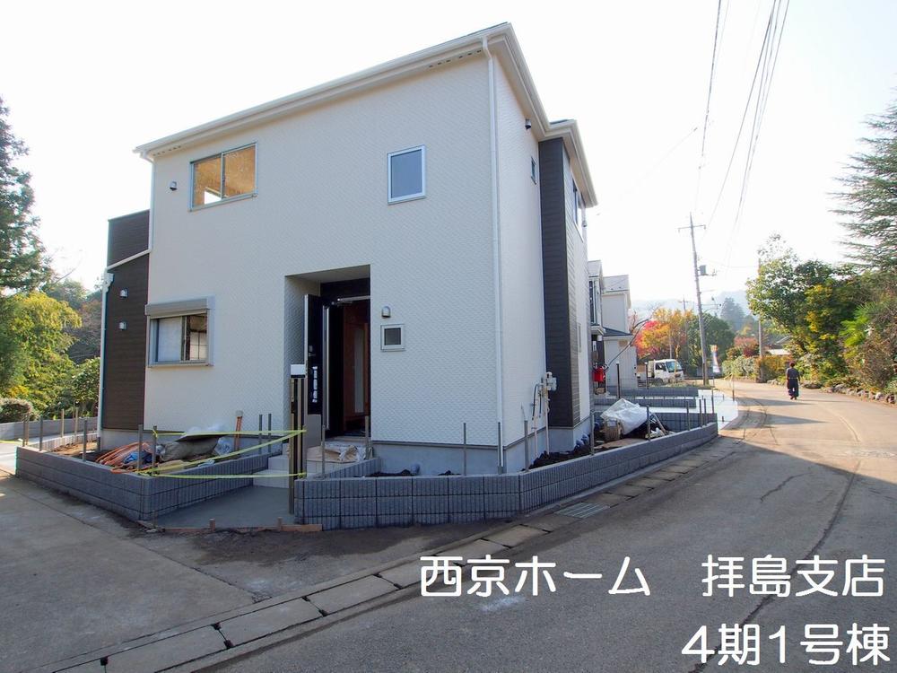 Local appearance photo. 2013 November shooting