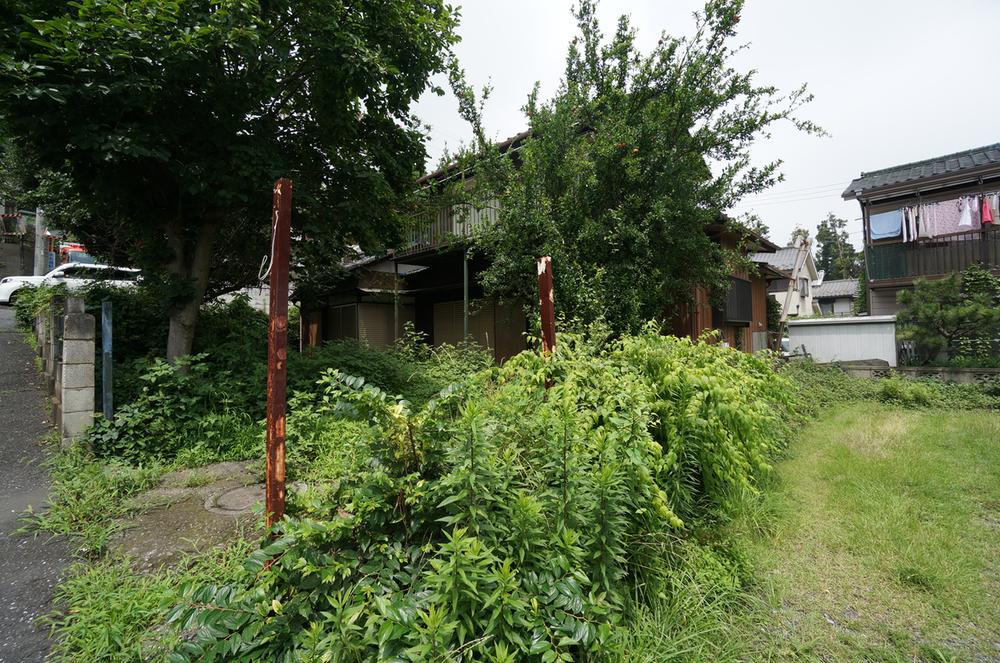 Local land photo. Current state