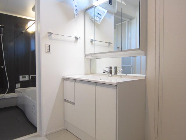 Wash basin, toilet. Indoor (11 May 2013) Shooting