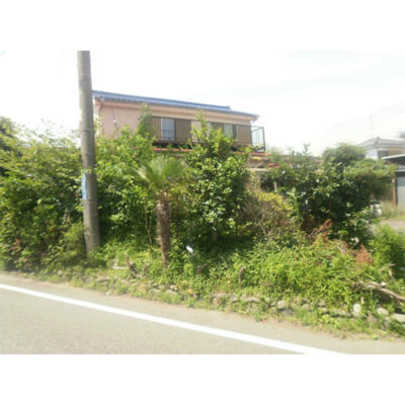 Local land photo. Local Photos