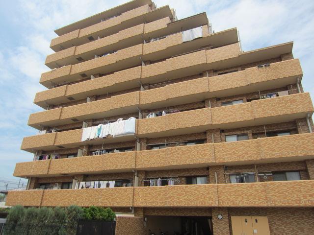 Local appearance photo. Local (July 2013) Shooting