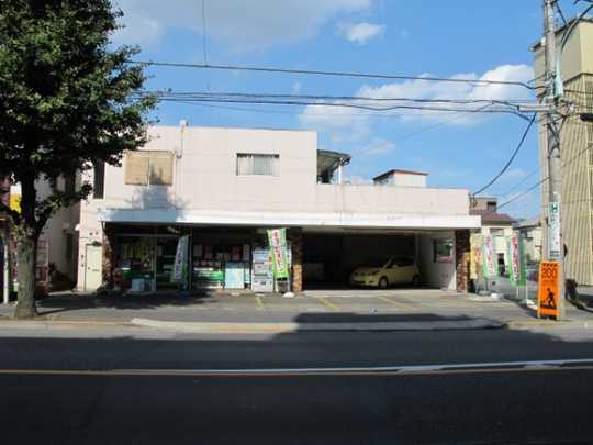 Local land photo. Appearance (1)