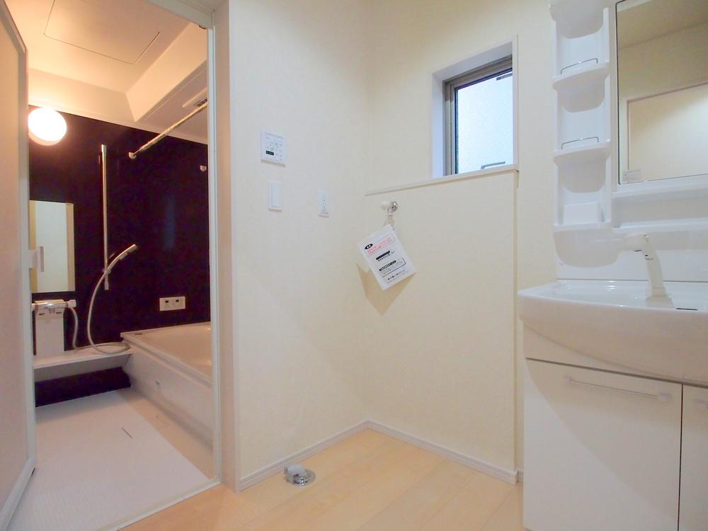 Other introspection. Washroom