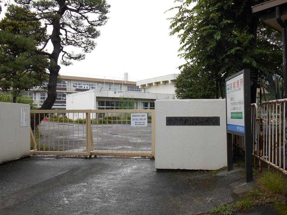 Primary school. Fifth Small