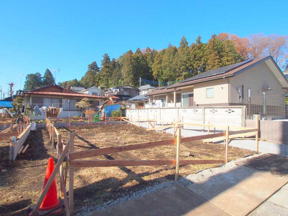 Local appearance photo. 2013 November shooting