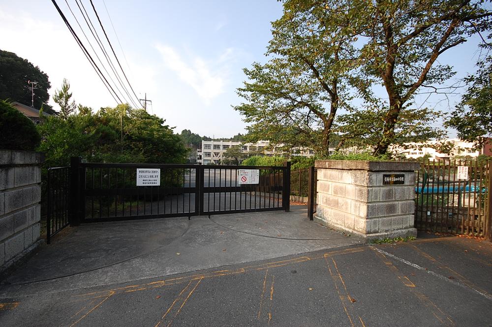 Primary school. Ome Municipal fourth to elementary school 728m