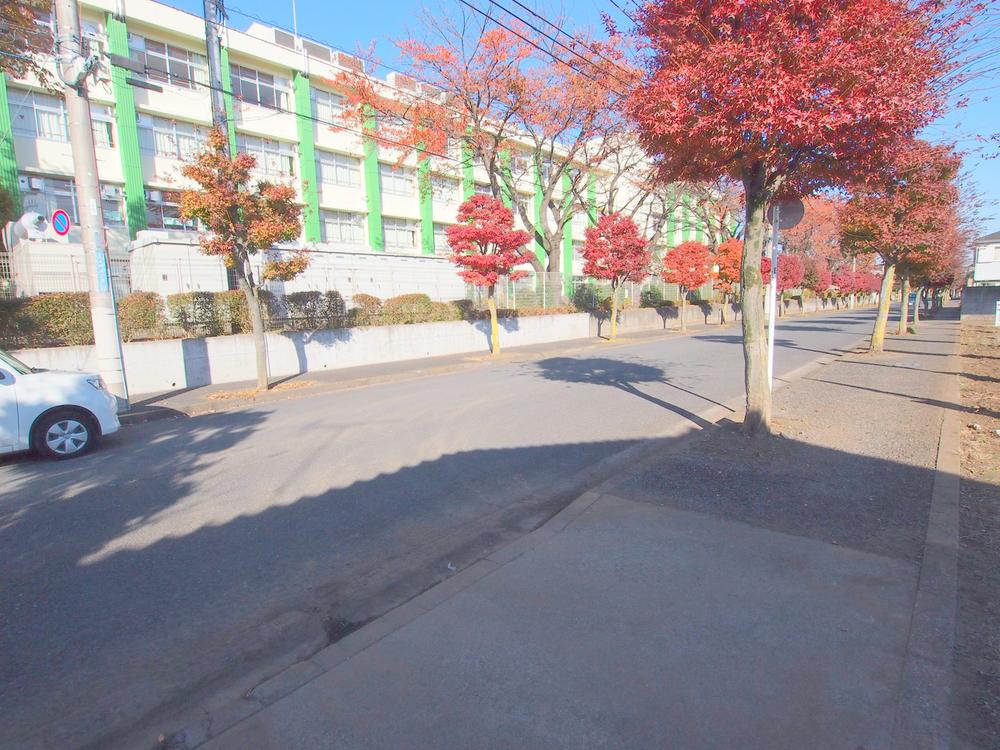 Local photos, including front road. 2013 November shooting