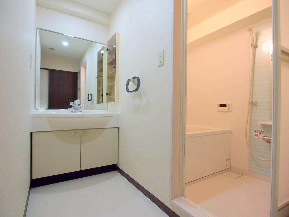 Wash basin, toilet. Washroom