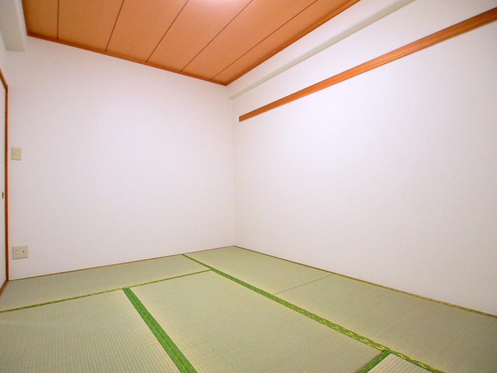 Other introspection. Japanese style room