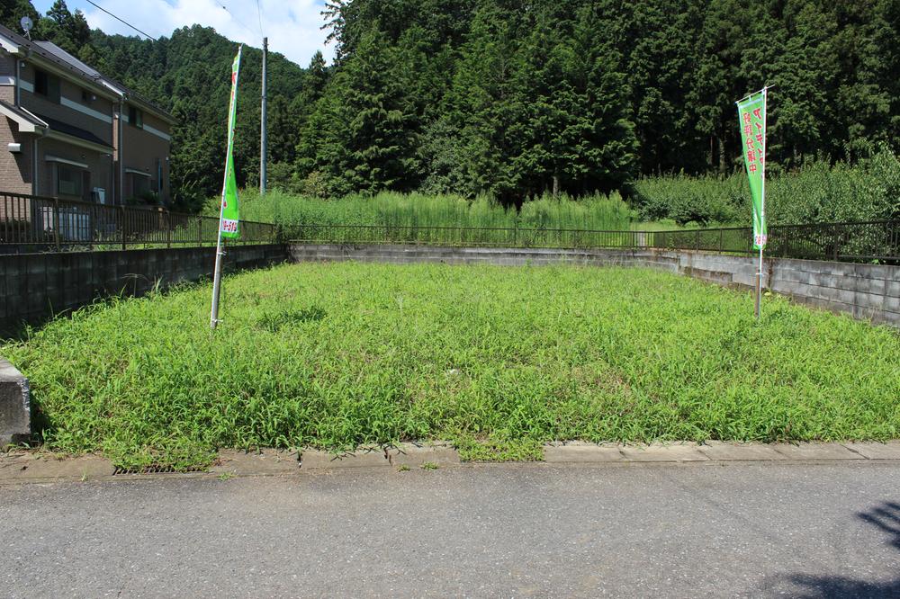 Local photos, including front road. Local land photo