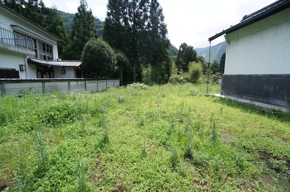 Local land photo. Current state