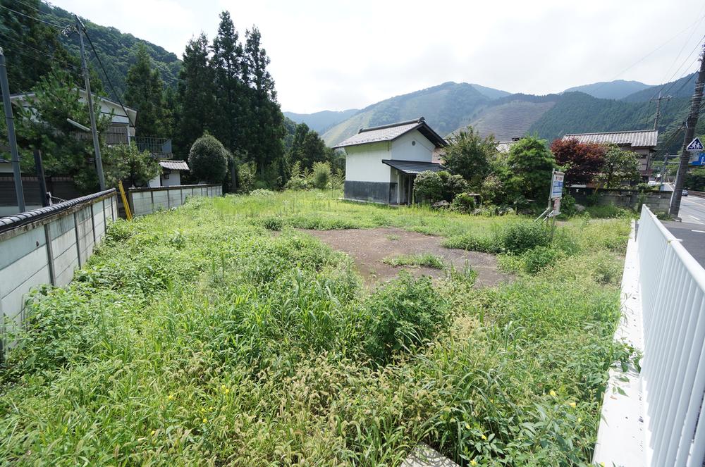 Local land photo. Current state