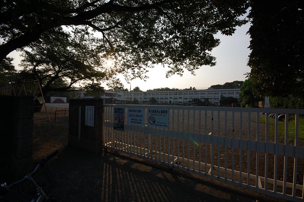 Primary school. Ome Municipal third to elementary school 702m