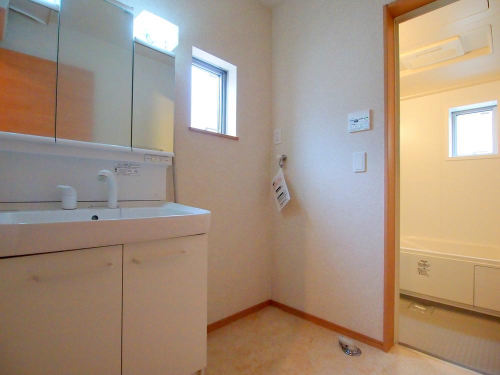 Other introspection. Washroom