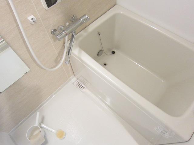 Bathroom. Indoor (10 May 2013) Shooting