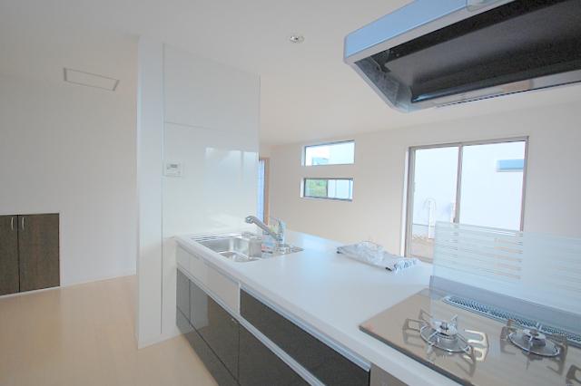 Kitchen. The company construction cases