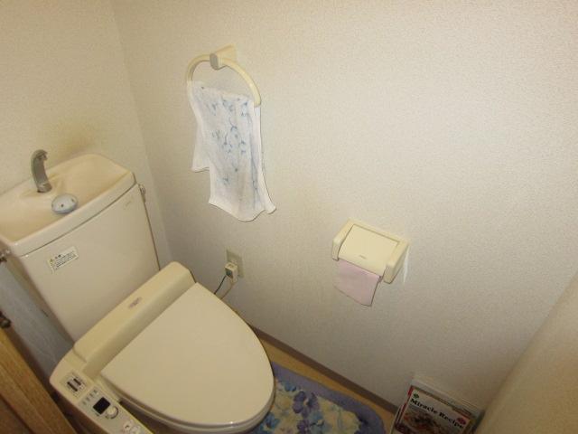 Toilet. Room (August 2013) Shooting