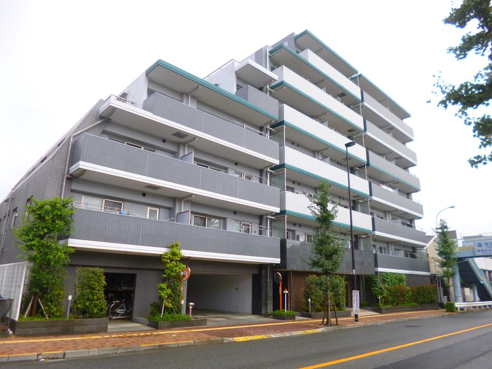 Local appearance photo. Local (September 2013) Shooting