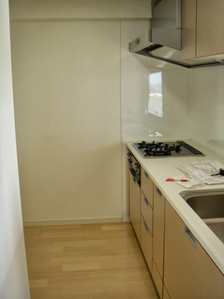 Kitchen. Room (August 2005) Shooting