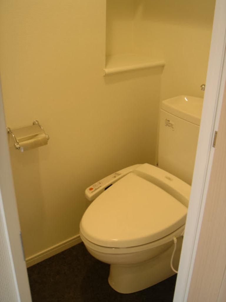 Toilet. Indoor (September 2013) Shooting