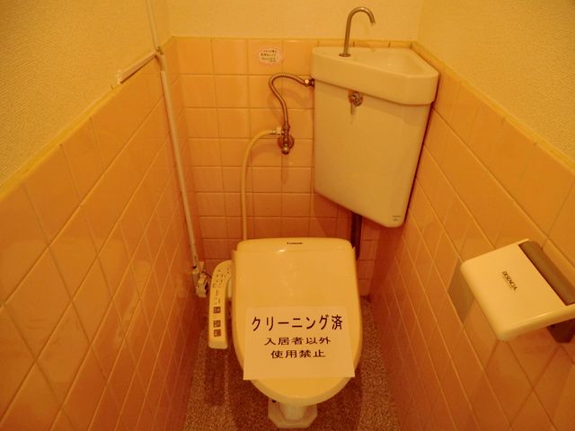 Toilet. Shower toilet
