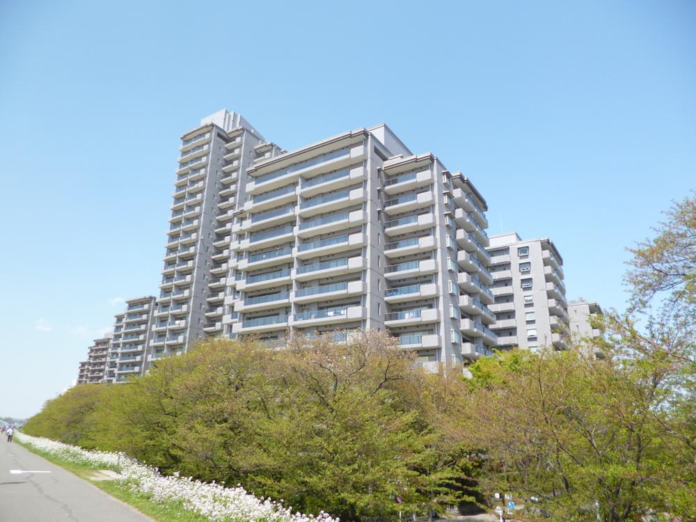 Local appearance photo. Local (May 2013) Shooting