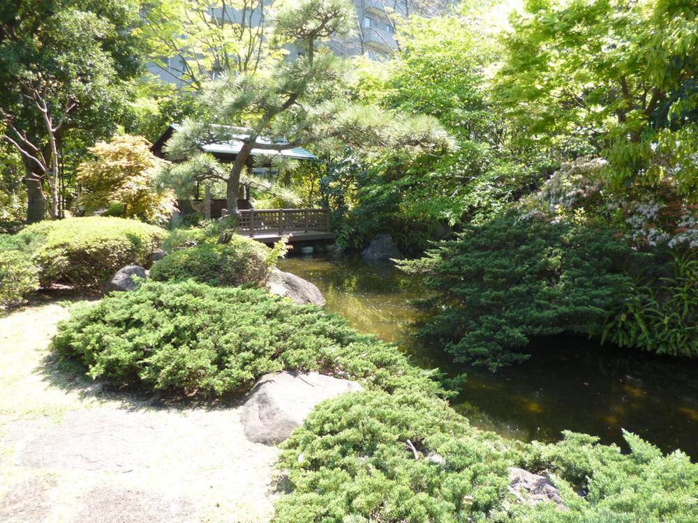 Other local. Local (May 2013) Shooting