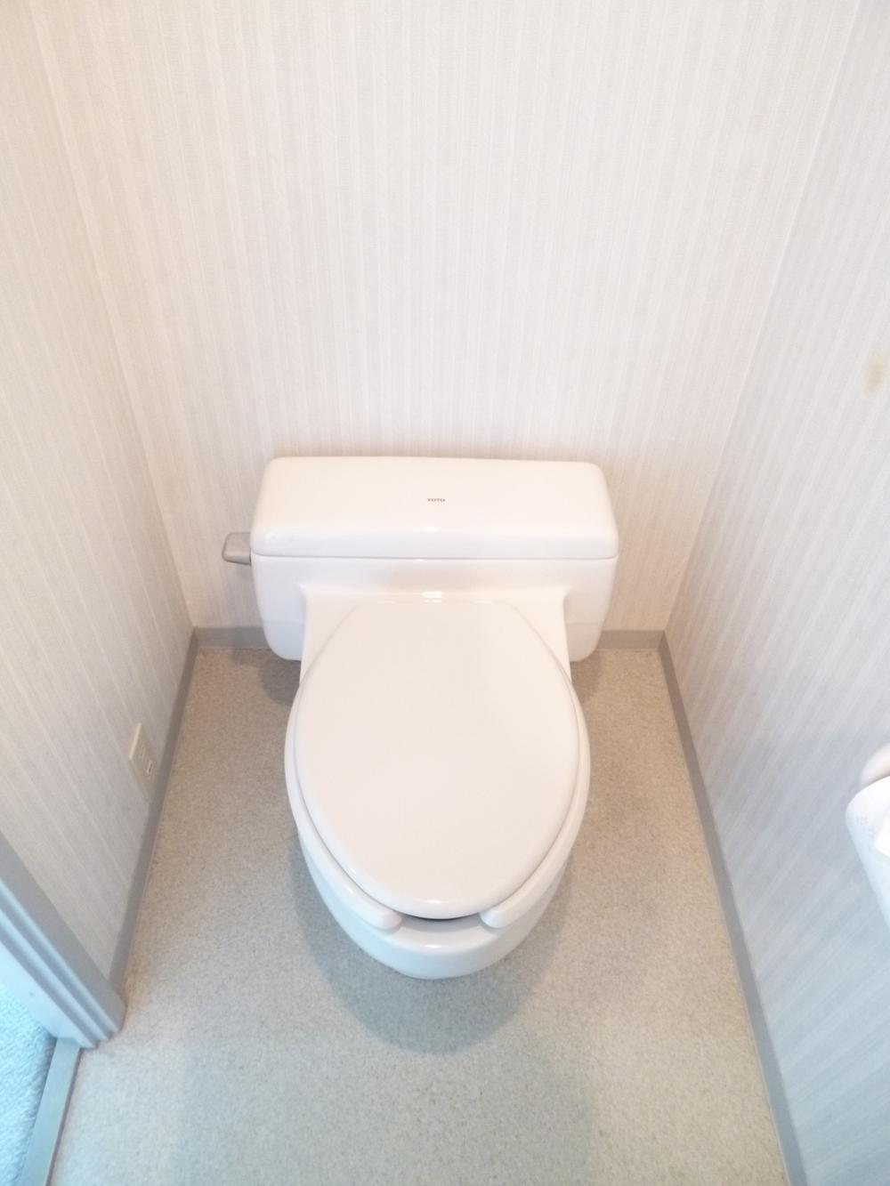 Toilet. Local (June 2013) Shooting