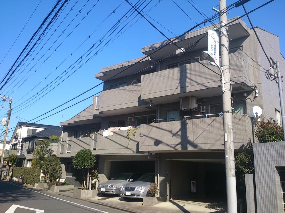 Local appearance photo. Local (11 May 2013) Shooting