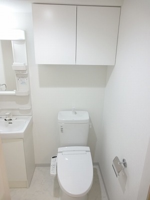 Toilet. Shower toilet!