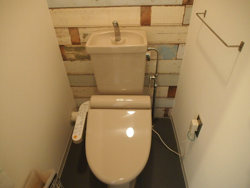 Toilet. Also equipped with cloth and warm water cleaning toilet seat insistence