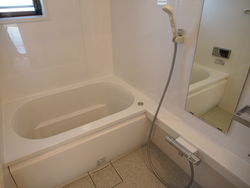 Bath. Bathroom with add-fired function of the new