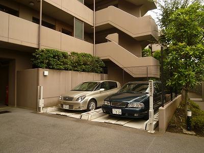 Parking lot. On-site parking (1)