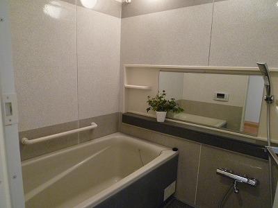 Bathroom. Bathroom: Indoor (October 2013) Shooting