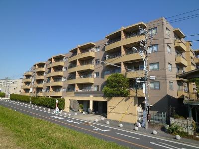 Local appearance photo. Appearance: local (11 May 2013) Shooting