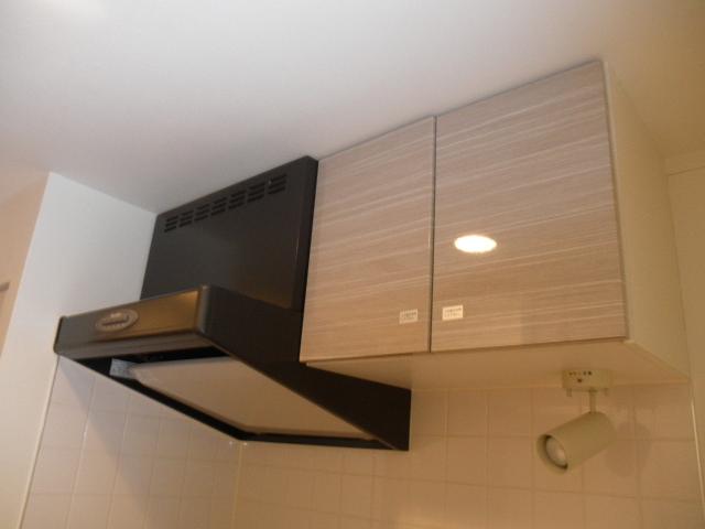 Kitchen. Indoor (11 May 2013) Shooting