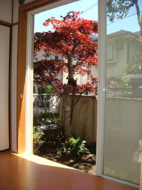 Garden. Taste some garden